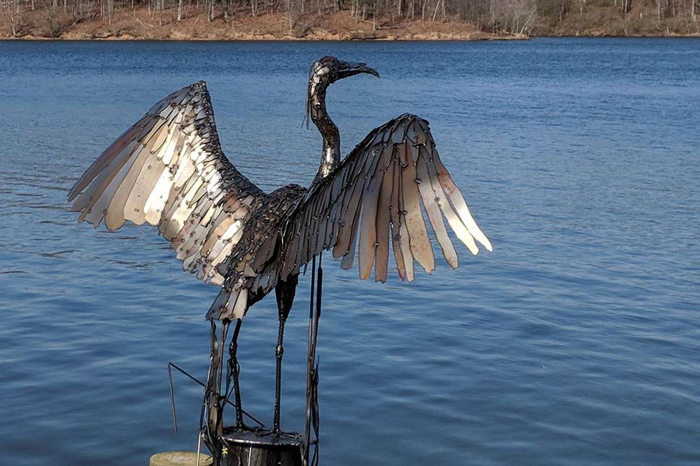 blue-heron